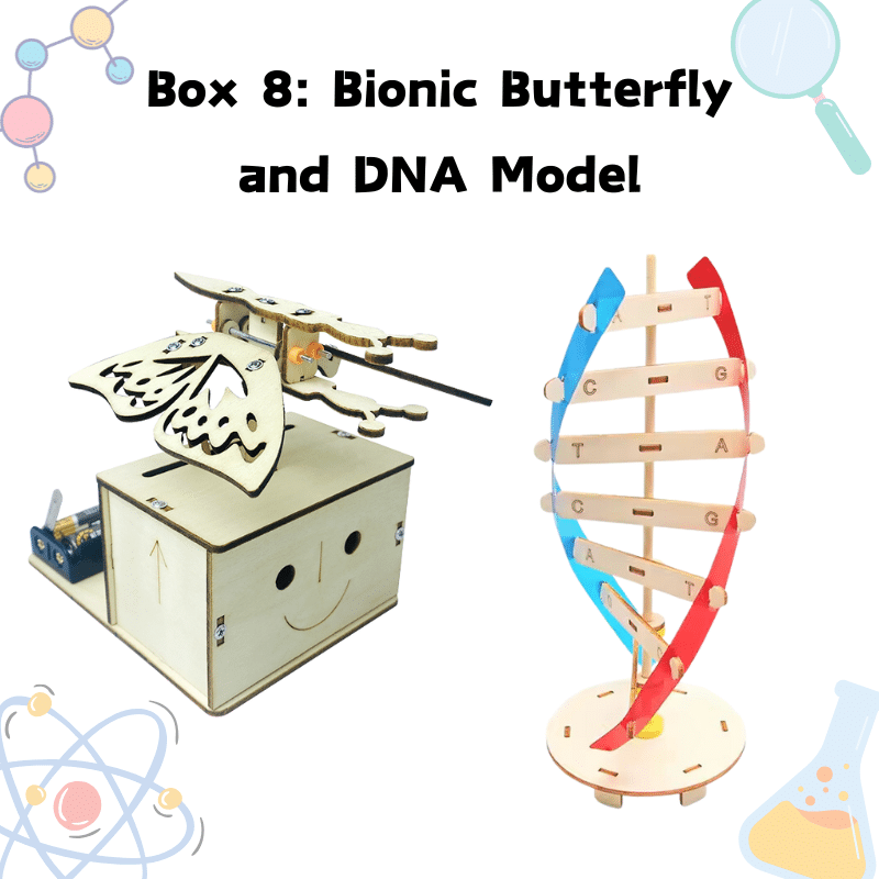 STEM science kit with DNA model and bionic butterfly projects for kids